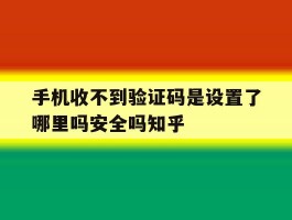 手机收不到验证码是设置了哪里吗安全吗知乎的简单介绍