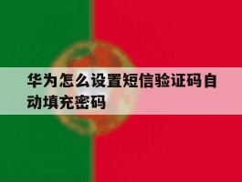 华为怎么设置短信验证码自动填充密码