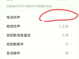 短信接收没有声音怎么办呢苹果手机