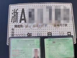 临时号牌最长时间是多久的车啊