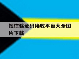 短信验证码接收平台大全图片下载