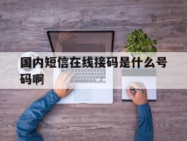 国内短信在线接码是什么号码啊