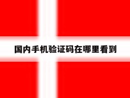 国内手机验证码在哪里看到