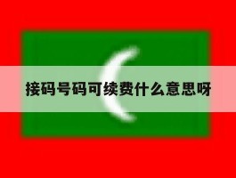 接码号码可续费什么意思呀