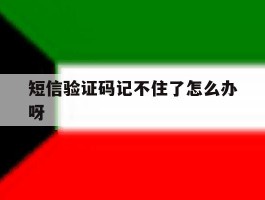 短信验证码记不住了怎么办呀