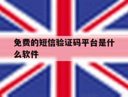 免费的短信验证码平台是什么软件