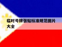 临时号牌张贴标准规范图片大全