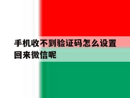 手机收不到验证码怎么设置回来微信呢