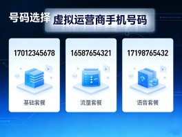 虚拟手机号电话怎么查