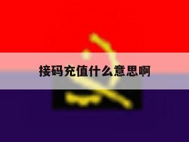 接码充值什么意思啊