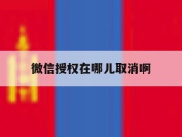 微信授权在哪儿取消啊