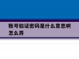 账号验证密码是什么意思啊怎么弄