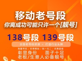 中国虚拟手机号