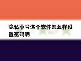 隐私小号这个软件怎么样设置密码呢