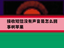 接收短信没有声音是怎么回事啊苹果