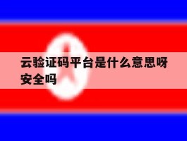 云验证码平台是什么意思呀安全吗