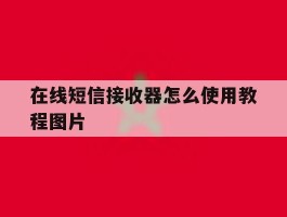 在线短信接收器怎么使用教程图片