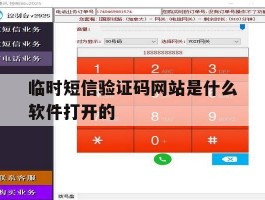 临时短信验证码网站是什么软件打开的