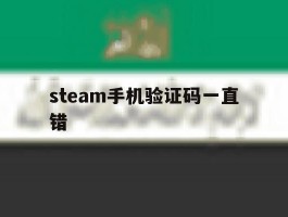 steam手机验证码一直错