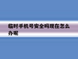 临时手机号安全吗现在怎么办呢