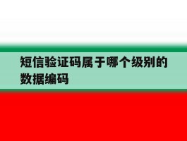 短信验证码属于哪个级别的数据编码