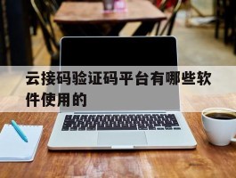 云接码验证码平台有哪些软件使用的的简单介绍