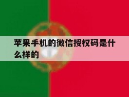 苹果手机的微信授权码是什么样的