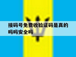 关于接码号免费收验证码是真的吗吗安全吗的信息