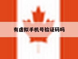 有虚拟手机号验证码吗