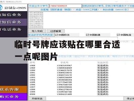 临时号牌应该贴在哪里合适一点呢图片