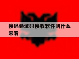 接码验证码接收软件叫什么来着