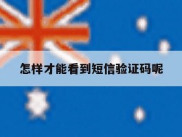 怎样才能看到短信验证码呢