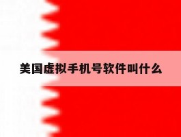 美国虚拟手机号软件叫什么