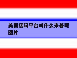 美国接码平台叫什么来着呢图片
