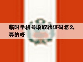 临时手机号收取验证码怎么弄的呀