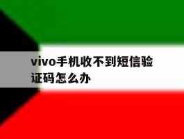 vivo手机收不到短信验证码怎么办