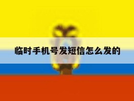 临时手机号发短信怎么发的
