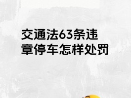 临时号牌违章停车会处罚吗扣分吗