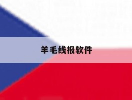 羊毛线报软件