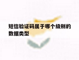 短信验证码属于哪个级别的数据类型