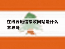 在线云短信接收网站是什么意思呀