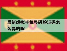 最新虚拟手机号码验证码怎么弄的呢