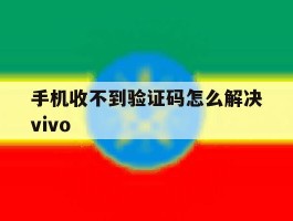 手机收不到验证码怎么解决vivo