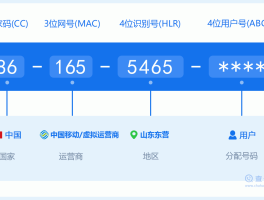 虚拟手机号165
