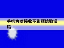 手机为啥接收不到短信验证码
