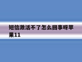 短信激活不了怎么回事呀苹果11