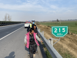 临时号牌能不能能不能上高速公路呢视频讲解