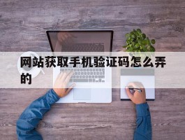 网站获取手机验证码怎么弄的