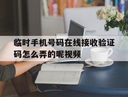 临时手机号码在线接收验证码怎么弄的呢视频