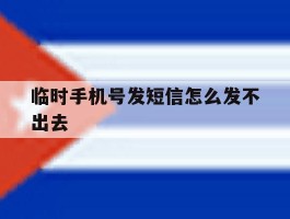 临时手机号发短信怎么发不出去